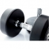 Muscle Power ronde Dumbbellset 2 - 20 KG MP918  MP918